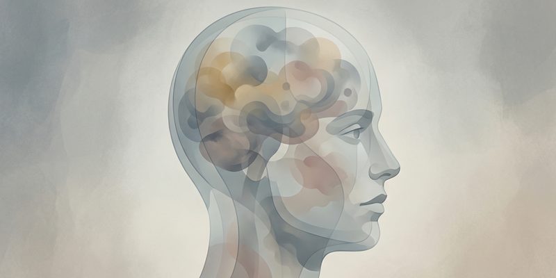 Vjerovanje kao proces prihvaćanja i procjene informacija u ljudskom mozgu