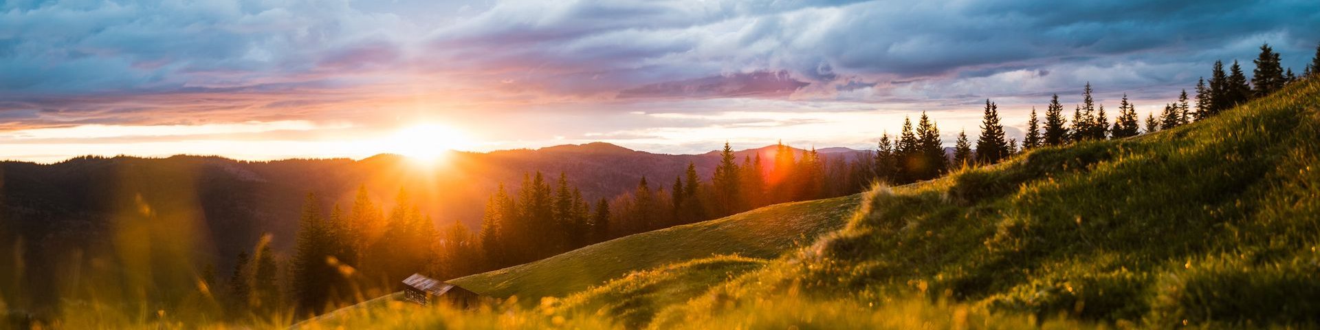 Bioterapija i bioenergija | Bioterapeut